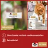 Doppelherz para animales, complejo para la piel y el pelaje Vista previa de la imagen del producto 6