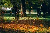 Sac de ramassage Sac de ramassage pour aspirateur de Voir les images du produit 2