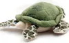 Schildkröte Kuscheltier Reptil Karettschildkröte Produktbild-Vorschau 5