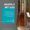 A gas patio heater with its gas bottle compartment open, showing a red gas bottle inside. Text overlays describe features and specifications. Produktbild-Vorschau