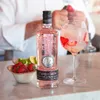 Puerto de Indias Gin Strawberry Náhľad obrázku produktu 13