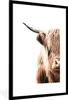MuchoWow® Gerahmtes Poster Schottischer Highlander - Tier - Produktbild-Vorschau 1