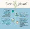 Vegavero Natürliches Silizium | 120 Kapseln | aus Produktbild-Vorschau 6