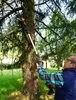 Impugnatura per seghe a batteria Worx Anteprima dell’immagine prodotto 4