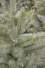 Forest Frosted Pine kunstkerstboom groen slim d102 h185 cm Productafbeelding-voorbeeld 3
