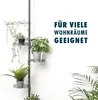 bremermann Zusatz-Pflanzenteller für Teleskop-Blumenregal Produktbild-Vorschau 6
