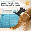 HUND IST KÖNIG Windeln für Hündinnen [3 Stk], S (Taille Produktbild-Vorschau 5
