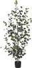 Mica Decorations Eucalyptus Kunstpflanze in Blumentopf - Produktbild-Vorschau 1