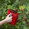Beerenpflücker / Kleinobstpflücker Produktbild-Vorschau 6