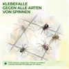 Spinnen Klebefalle mit Spezial-Lockstoff – 3x Fallen – Produktbild-Vorschau 2