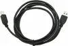 Gembird CCP-USB2-AMBM-6 USB Kabel 1 82 m USB A USB B Produktbild-Vorschau 9