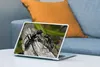 MuchoWow® Laptop Aufkleber Sticker Cover Ameisen - Rüssel - Produktbild-Vorschau 4
