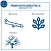 Scheppach Akku-Kettensäge BC-CS355Duo-X | 14‘‘ / 35,6 cm Produktbild-Vorschau 3