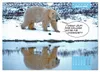 Lustige Eisbären (Wandkalender 2027 DIN A4 quer), CALVENDO Produktbild-Vorschau 5