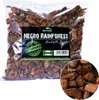 Terrario Černý deštný prales 5l 500g - substrát z Náhled obrázku produktu 2