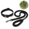Hundehalsband und Elastische Hundeleine Set, 1,2m, Produktbild-Vorschau 1