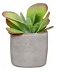 Scheurich Solido, Braun, Keramik, 21 cm, 1,46 kg, 1 Produktbild-Vorschau 3