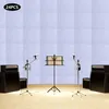 A music studio setup with acoustic panels on the wall, amplifiers, microphones, and a music stand. Podgląd zdjęcia produktu