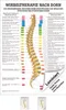 Wirbeltherapie nach Dorn Poster Anatomie 70x50 cm Produktbild-Vorschau 1