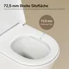 EMKE Hangtoilet, keramisch, dubbele spoeling in Productafbeelding-voorbeeld 3