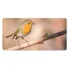 MuchoWow® Schreibtischunterlage Vogel - Zweig - Rotkehlchen Produktbild-Vorschau 1