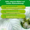 Purgrün Calathea-Dünger 1 Liter Produktbild-Vorschau 3