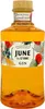 JUNE by G'Vine Gin Wild Peach & Summer Fruit 37,5% Vol. Produktbild-Vorschau 3
