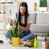 A woman watering a snake plant in a yellow pot, surrounded by other plants and gardening tools. Náhľad obrázku produktu