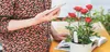 TECHPUNT Xiaomi Mi Flower Care Plant Sensor Produktbild-Vorschau 1