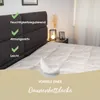 Sanders-Kauffmann Eiderdaunendecke "Atelier Sanders" warm Produktbild-Vorschau 7