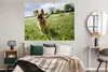 MuchoWow® Poster Deutscher Schäferhund zwischen den Blumen Produktbild-Vorschau 3