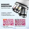 Microscope composé trinoculaire SucceBuy, grossissement de Voir les images du produit 2