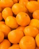 Yodeyma Cheante Woda Perfumowana Dla Kobiet 15ml Podgląd zdjęcia produktu 5
