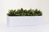 VIVANNO Bac à fleurs en fibre de verre FLOBO Bac, blanc mat Voir les images du produit 6