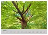 Biosphärenreservat Schaalsee (Wandkalender 2027 DIN A4 Produktbild-Vorschau 15