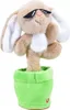 Kögler tanzender Hase m. Sonnenbrille, Aufnahmefunktion, Produktbild-Vorschau 1