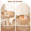 Two views of a cat tree with cats lounging on it, presented as marketing material. Anteprima dell’immagine prodotto