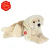 Golden Retriever liegend, 60 cm, Plüsch, 1 Stück Produktbild-Vorschau 7