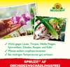 Neudorff Spruzit AF OrchideenSchädlingsFrei 250 ml - Produktbild-Vorschau 4