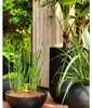 RIVIERA - Coupe pour pot de fleurs - granit D40 - noir Voir les images du produit 4