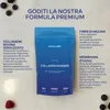 Collagene in polvere | Tipo I, III, V e X | 9300 mg | 300 g Anteprima dell’immagine prodotto 6