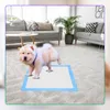 Ale-commerce | Tappetini igienici per cani - 33x45 cm - blu Anteprima dell’immagine prodotto 10