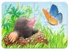 RAVENSBURGER Il mio primo puzzle Animali in giardino 4in1 Anteprima dell’immagine prodotto 2
