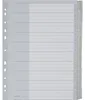 Leitz Register 43700000 blanko DIN A4 10teilig PP grau Produktbild-Vorschau 9
