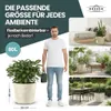 XXL Pflanzkübel „Millennium“ Ø59xH49 cm - 80L - Creme Weiß Produktbild-Vorschau 5
