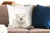 MuchoWow® Zierkissen Sofakissen Wohnzimmer Dekokissen 60x60 Produktbild-Vorschau 2