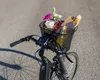 FISCHER 50653 FISCHER E-Bike PLUS košík na řídítka, černý Náhled obrázku produktu 7