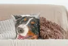 MuchoWow® Zierkissen Sofakissen Wohnzimmer Dekokissen 45x45 Produktbild-Vorschau 4