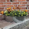 Zinkwanne oval 20 Liter – Wasserdichter Miniteich, Produktbild-Vorschau 5