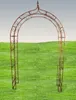 GardenAndPools Rosenbogen HOLLAND Lilie-Spitze Gesamtbreite Produktbild-Vorschau 11